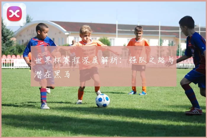 世界杯赛程深度解析：强队之路与潜在黑马