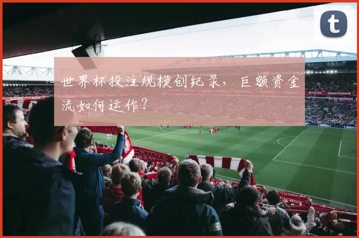 世界杯投注规模创纪录,巨额资金流如何运作?
