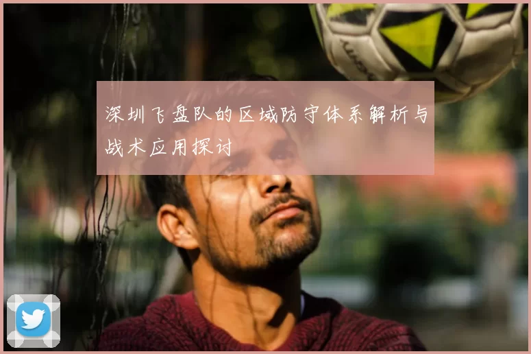深圳飞盘队的区域防守体系解析与战术应用探讨