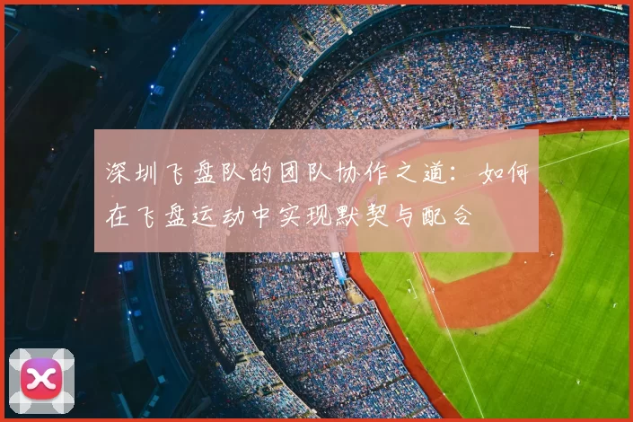 深圳飞盘队的团队协作之道:如何在飞盘运动中实现默契与配合