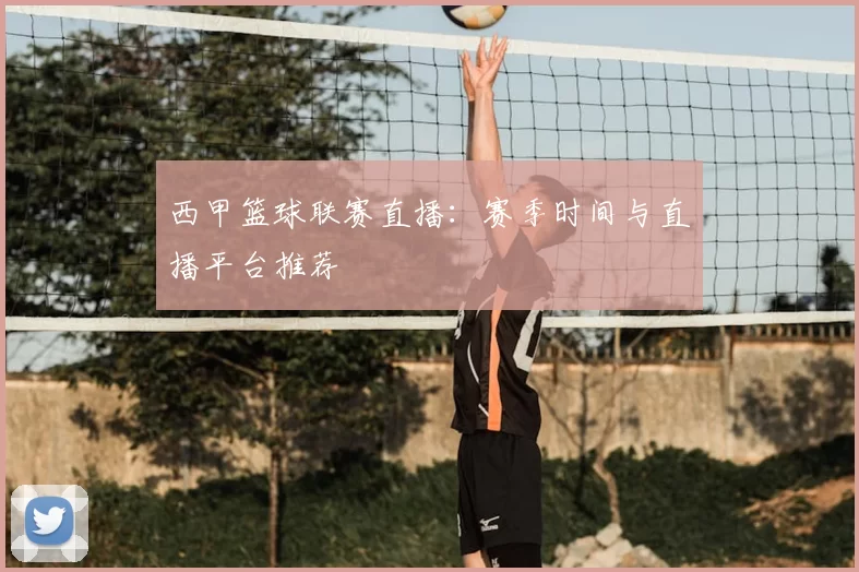 西甲篮球联赛直播:赛季时间与直播平台推荐