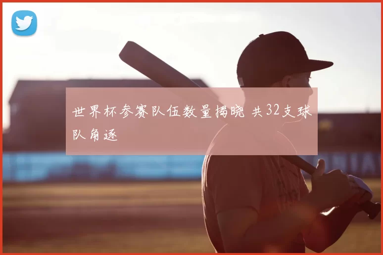 世界杯参赛队伍数量揭晓 共32支球队角逐