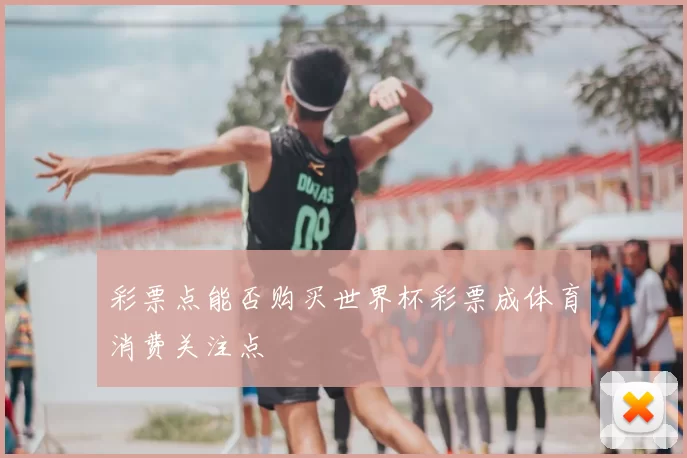 彩票点能否购买世界杯彩票成体育消费关注点