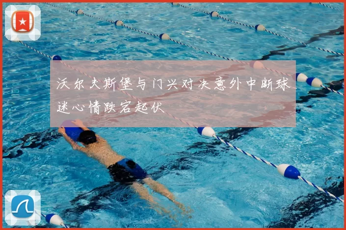 沃尔夫斯堡与门兴对决意外中断球迷心情跌宕起伏