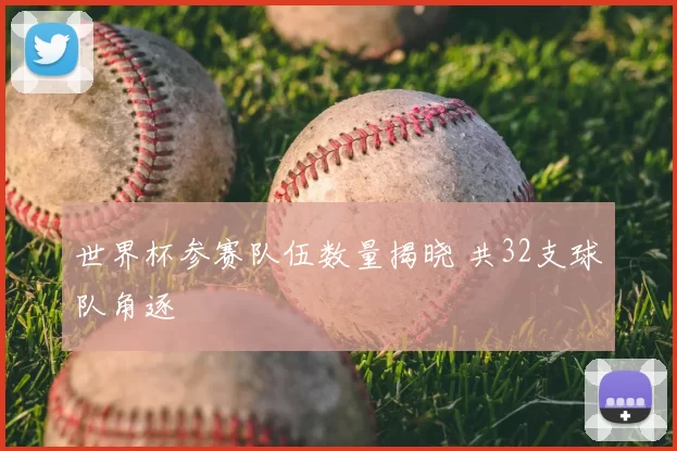 世界杯参赛队伍数量揭晓 共32支球队角逐